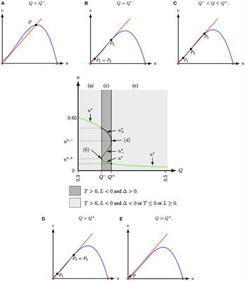 Stability Analysis of a Modified Leslie–Gower Predation Model With Weak Allee Effect in the Prey